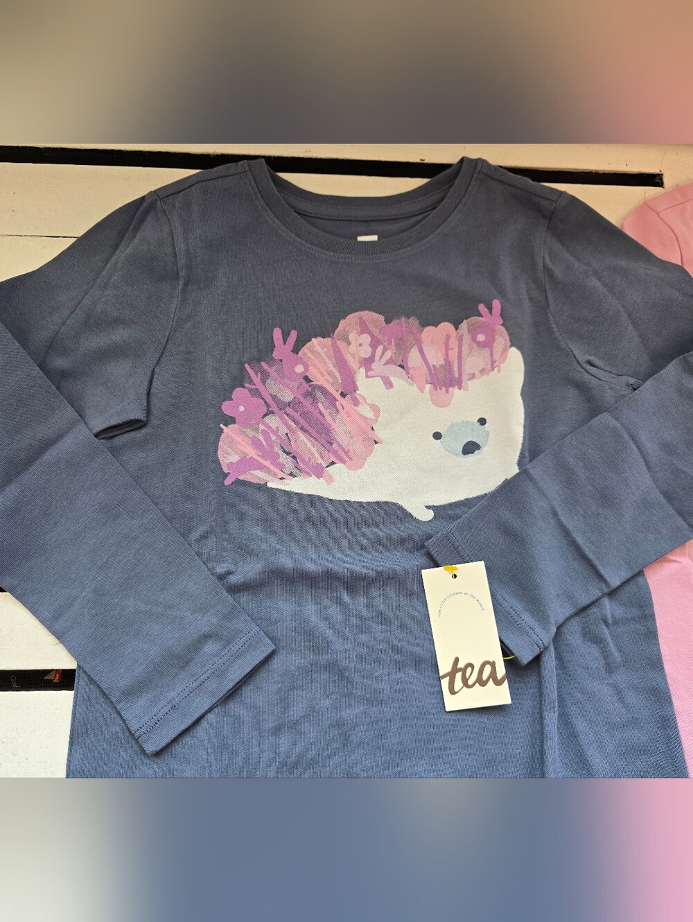 Triumph Blue Long-Sleeve Tee with Pink Hedgehog Graphic